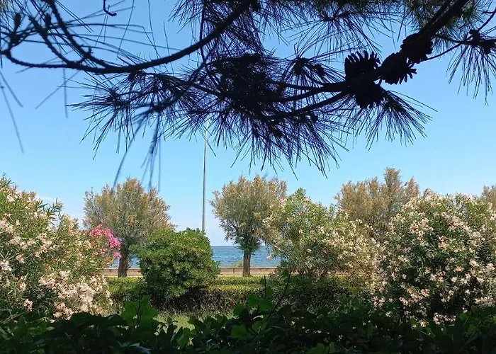 Rosmarino_appartamento Fronte Mare Розето-дельи-Абруцци